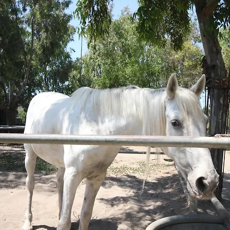 Baffone 3* Castel Volturno