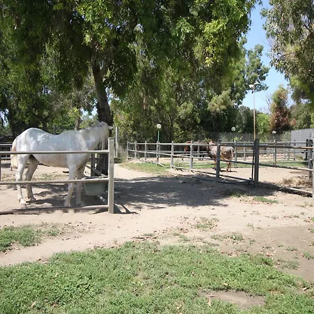 Baffone Hotel Castel Volturno