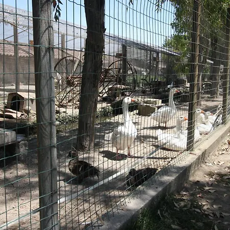 Baffone 3* Castel Volturno